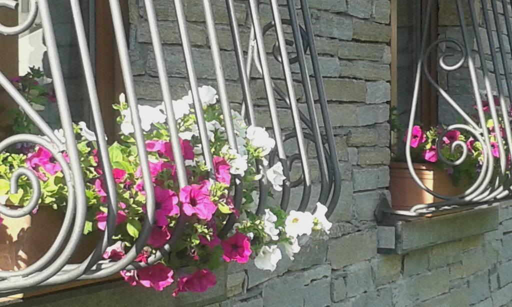 Casa Vacanza Dal Contadino Cir O17063 Corteno Golgi Exterior foto